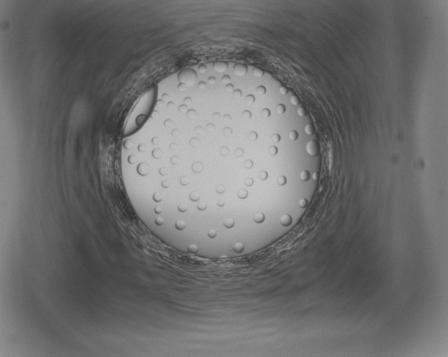 X0000080161059200612081022