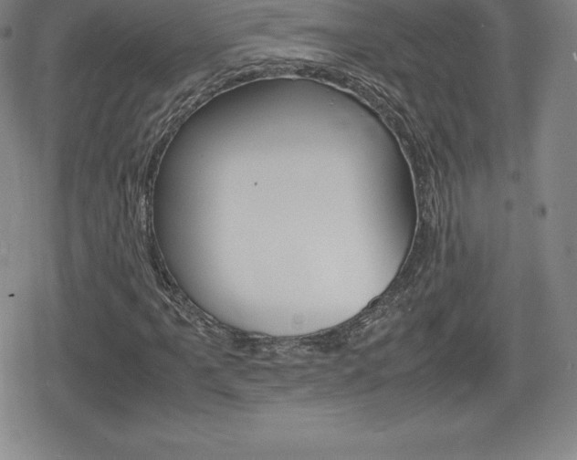 X0000080161061200612081021