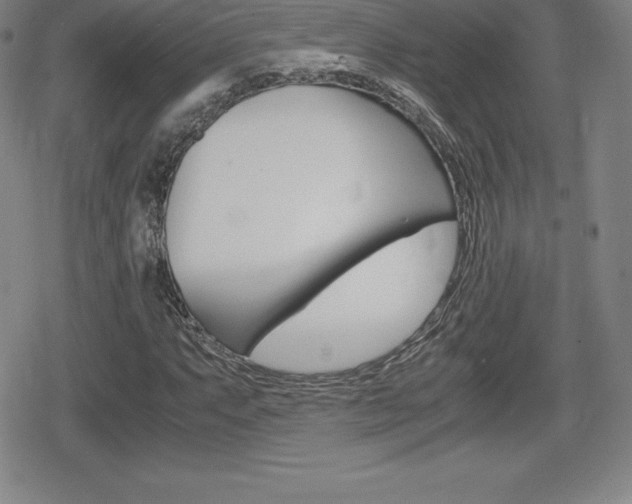 X0000080161063200612081021