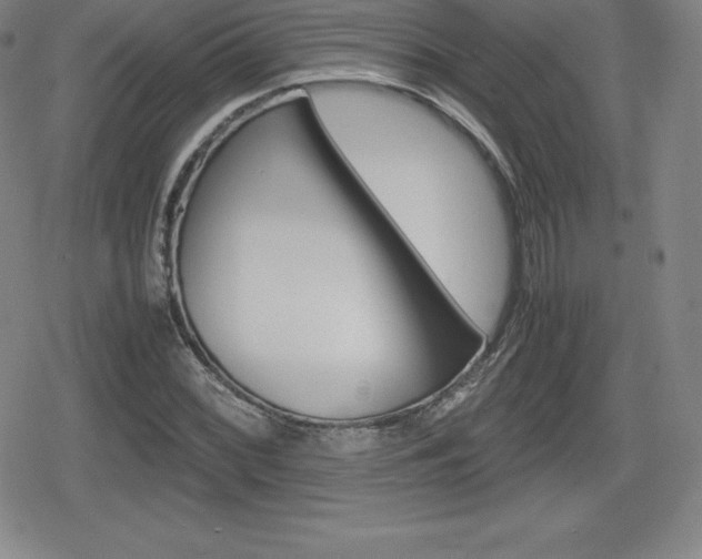 X0000080161068200612081021