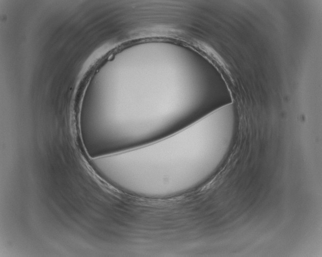 X0000080161072200612081021