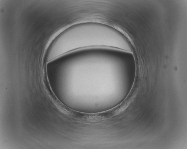 X0000080161077200612081021