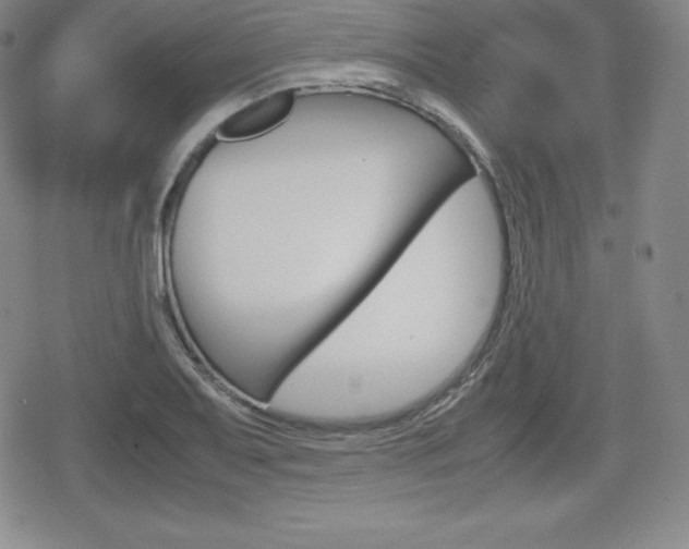 X0000080161079200612081021