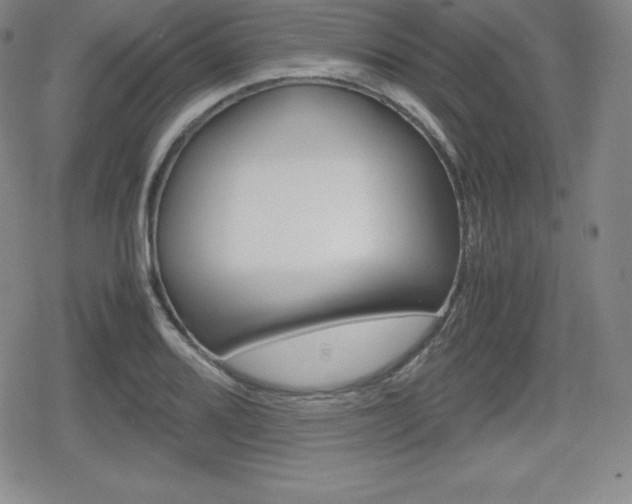 X0000080161080200612081021