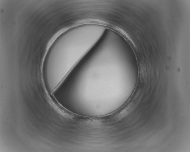 X0000080161082200612081021