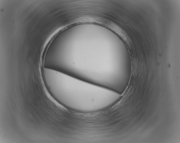 X0000080161084200612081021