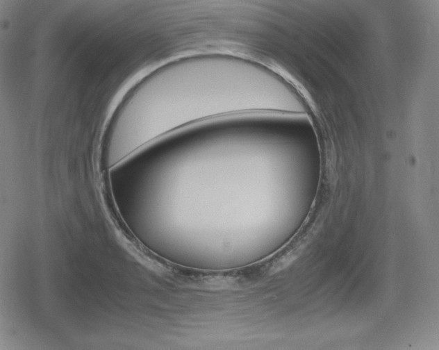 X0000080161085200612081021