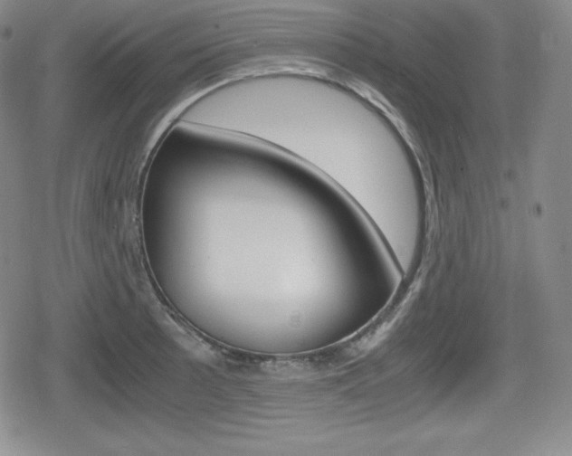X0000080161089200612081021