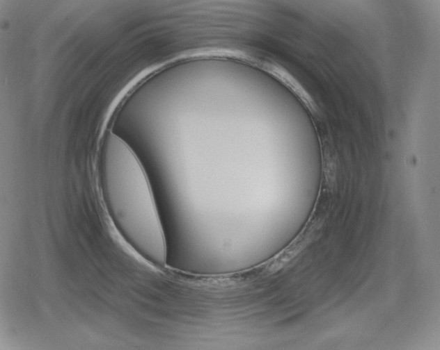 X0000080161092200612081021