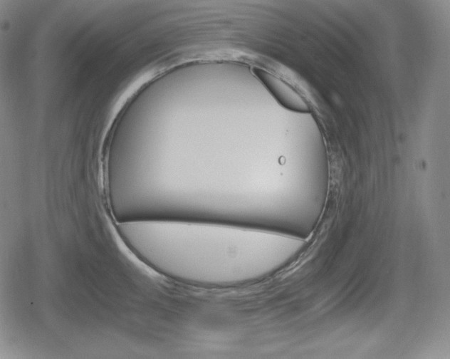 X0000080161095200612081021
