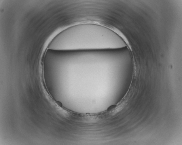 X0000080161096200612081021