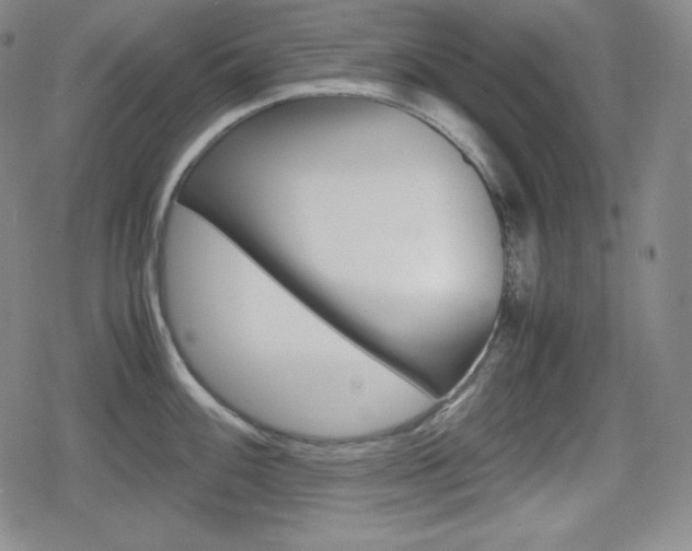 X0000080161100200612081021