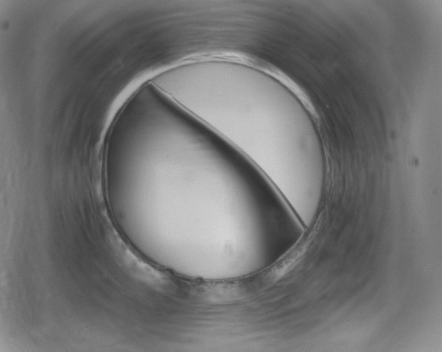 X0000080161102200612081021