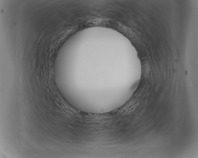 X0000080161105200612081020