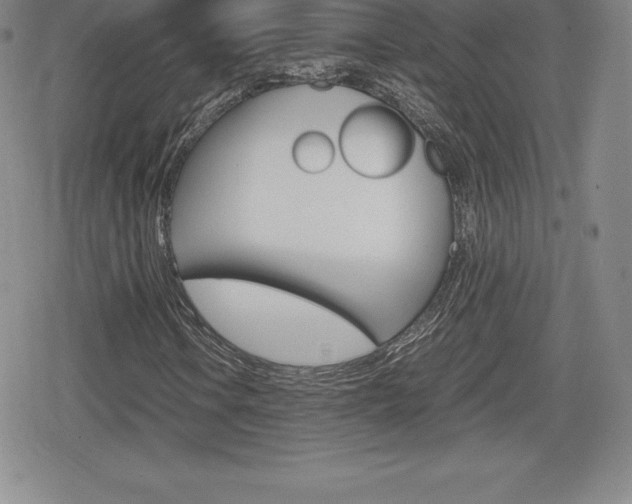 X0000080161106200612081020