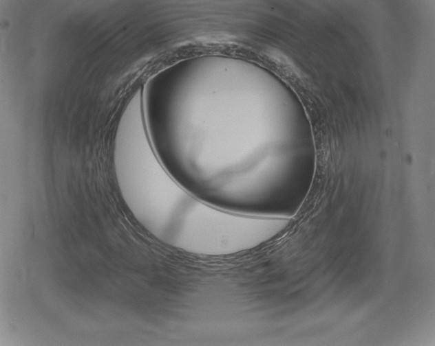 X0000080161110200612081020