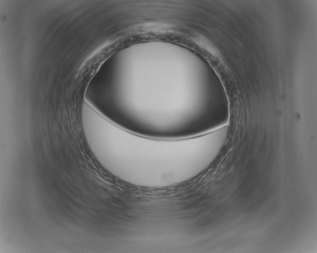 X0000080161112200612081020
