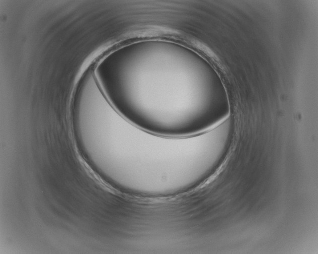 X0000080161122200612081020