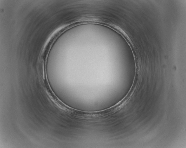 X0000080161123200612081020