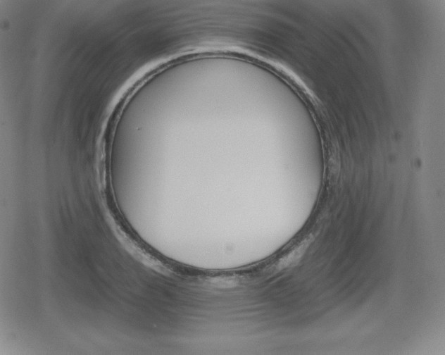 X0000080161126200612081020