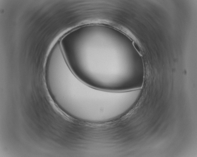 X0000080161132200612081020