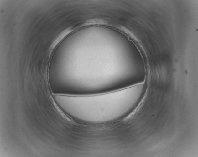 X0000080161137200612081021