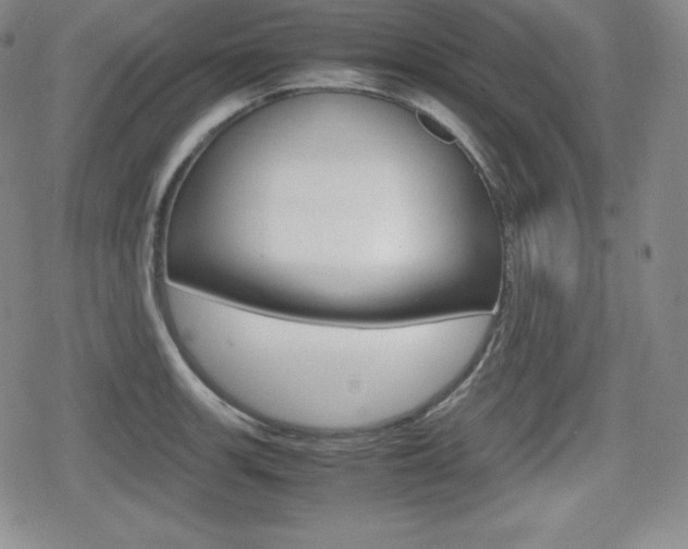 X0000080161139200612081021