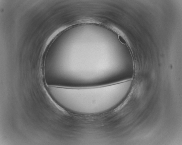 X0000080161141200612081021