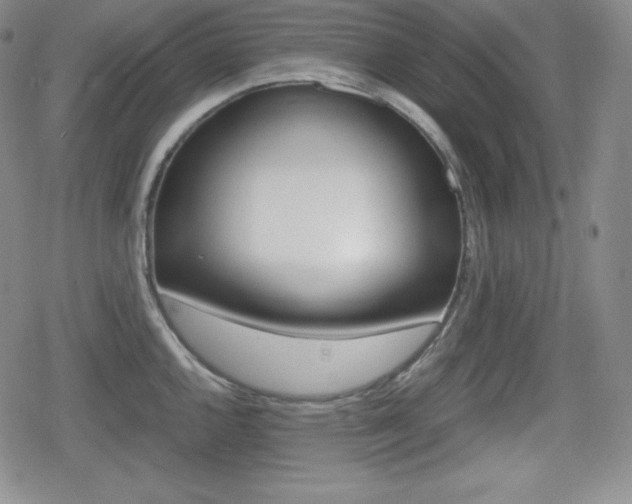 X0000080161144200612081021