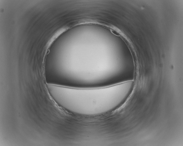 X0000080161145200612081021