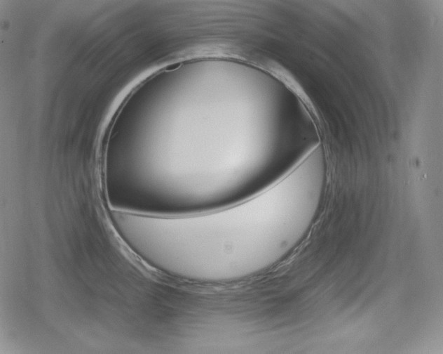 X0000080161148200612081021