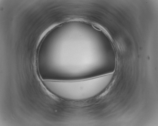 X0000080161149200612081021