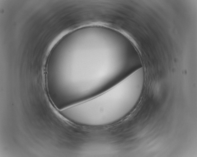 X0000080161151200612081021
