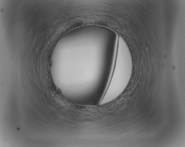 X0000080161153200612081020