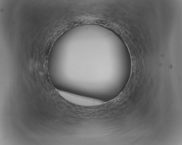 X0000080161157200612081020