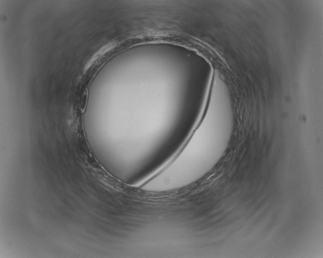 X0000080161160200612081020