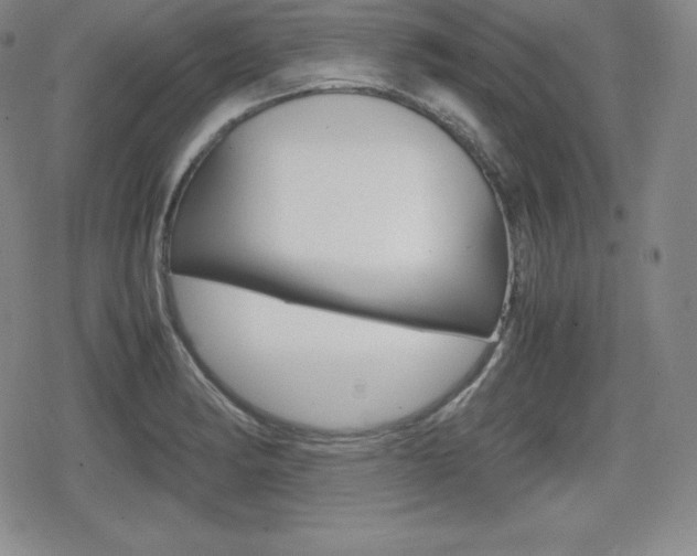 X0000080161182200612081020