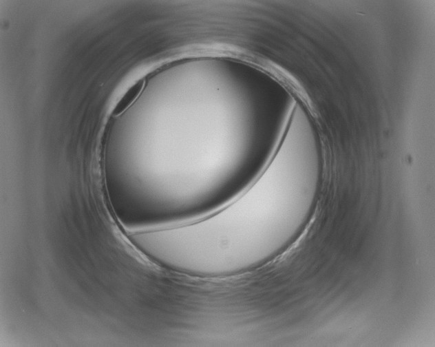 X0000080161192200612081019
