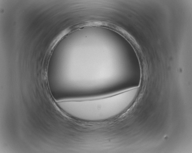 X0000080161193200612081019