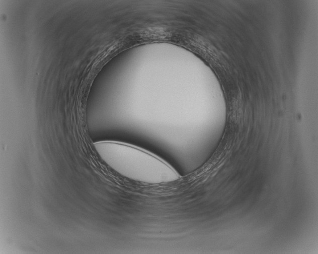 X0000080161201200612081018