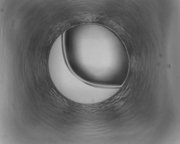 X0000080161202200612081018