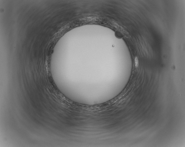 X0000080161203200612081018