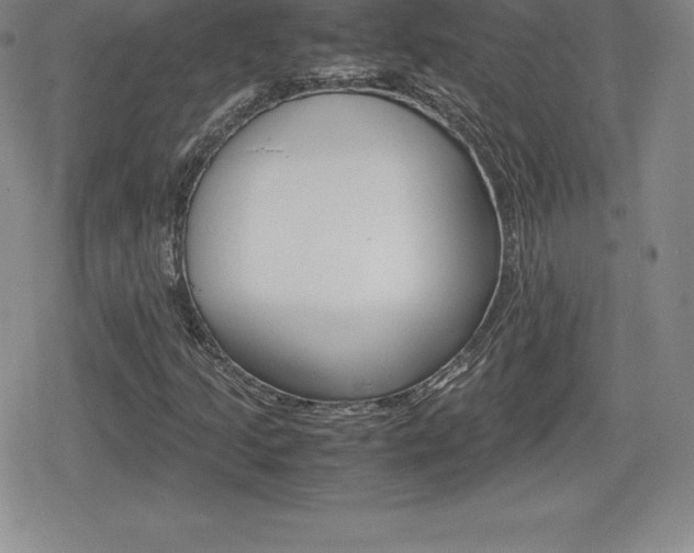 X0000080161205200612081019