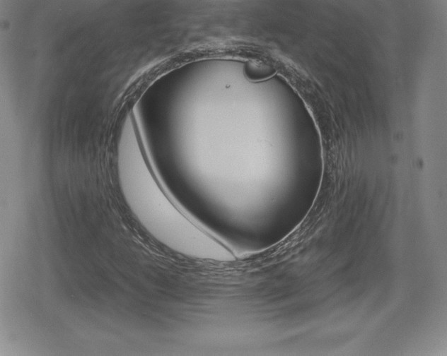 X0000080161206200612081019