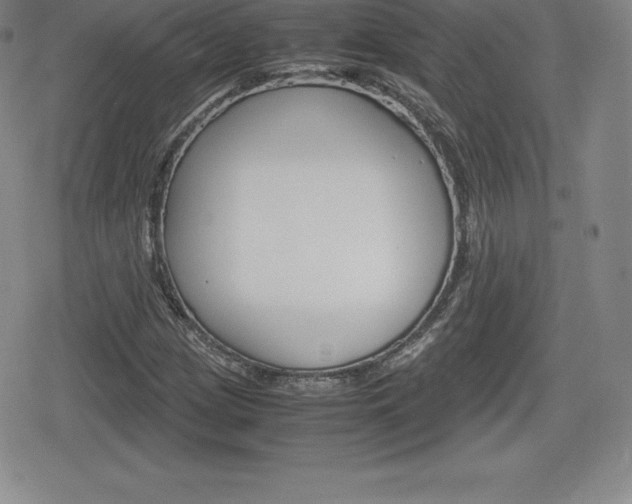 X0000080161209200612081019