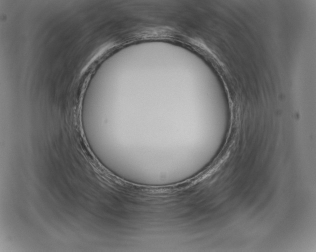 X0000080161211200612081019