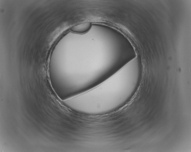 X0000080161212200612081019