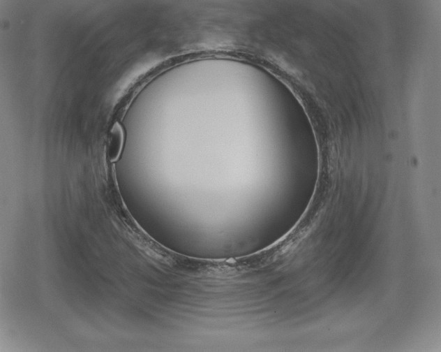 X0000080161214200612081019
