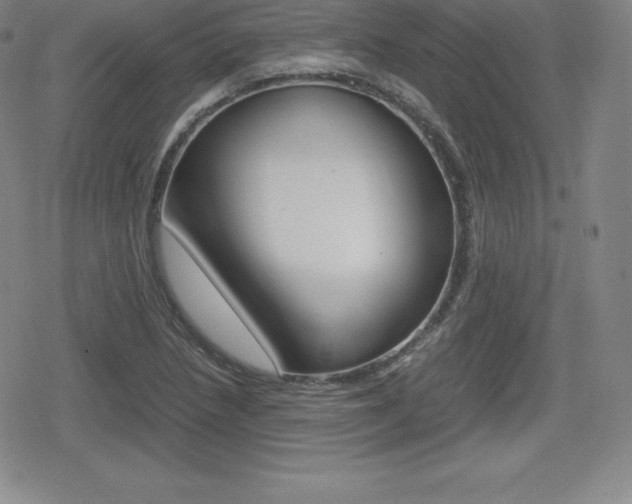 X0000080161218200612081019