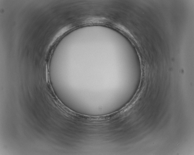 X0000080161219200612081019